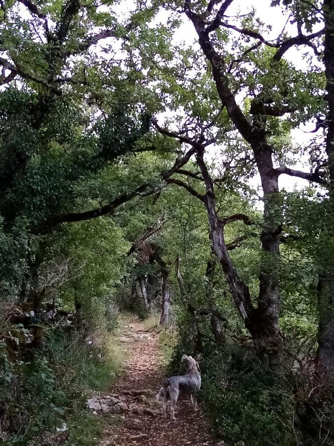 Natura Zome Caylus Dış mekan fotoğraf